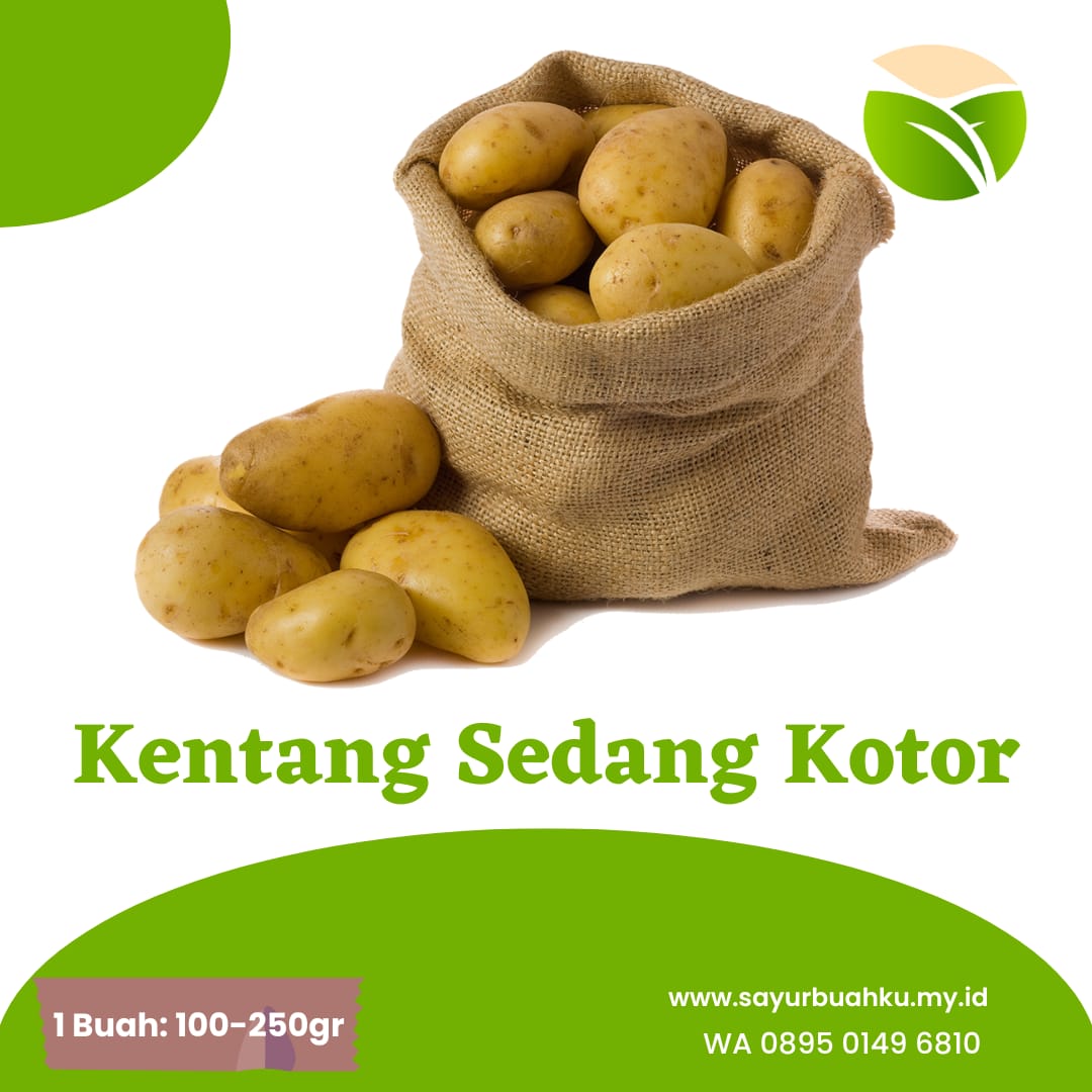 MEDIUM POTATOES DIENG
